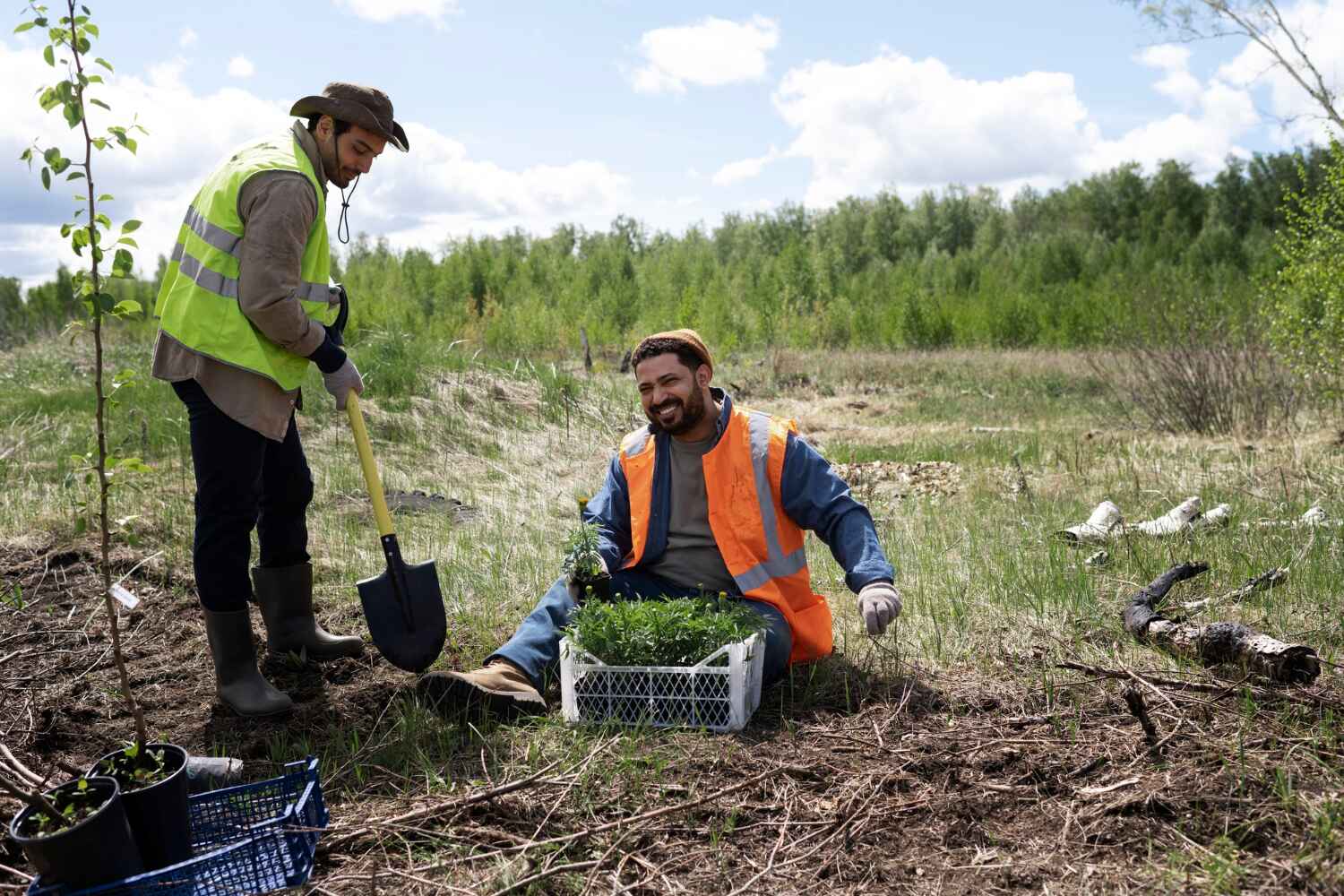 Best Tree Clearing Services  in Groves, TX